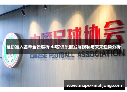 足协准入名单全景解析 44家俱乐部发展现状与未来趋势分析