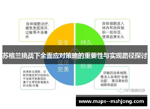 苏格兰挑战下全面应对策略的重要性与实现路径探讨